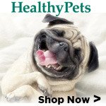 Healthy Pets