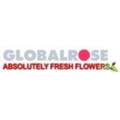 Global Rose